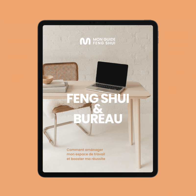 formation-feng-shui-bureau-vignette