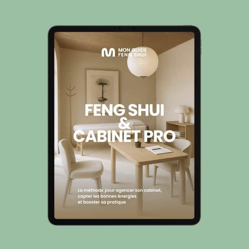 formation-feng-shui-cabinet-pro-praticien